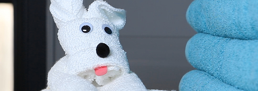 dog made out of towels